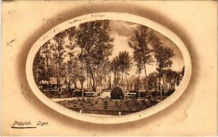 Nagylak, Nadlac; Liget. Weisz Márk kiadása / park (ázott sarkak / wet corners)