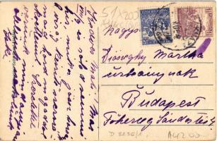 Cibakháza, 1848-as szabadság harcosok turul emlékszobor. Fogyasztási Szövetkezet kiadása (EK)