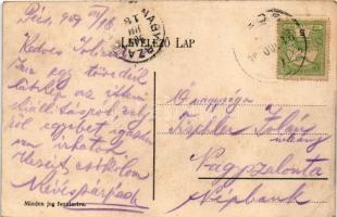 1907 Pécs, országos kiállítás, Iparcsarnok (hullámos / wavy)