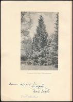 Balla András: A Szarvasi Alborétum leírása és katalógusa. 1957, papírkötés, az arborétum vezetőjének...