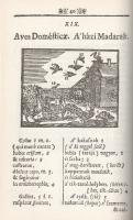 Comenius, Iohannes Amos [Komensky, Jan Amos]:
Joh. Amos Comenii Orbis sensualium pictus bilingvis [...