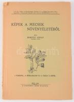 Horvát Adolf: Képek a Mecsek növényletéből. Pécs, 1942, Ciszterci Rend, kissé szakadt papírkötés