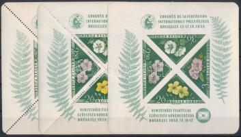 1958 FIP (I.) - Virág (I.) 2 db fogazott blokk kétféle fogazással + 1 db vágott blokk (40.000)