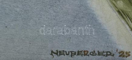 Neuberger István (1953-): T Bu Ede rátalált önmagára, 2025. Olaj, farost. Jelzett. Fakeretben. 61x73...