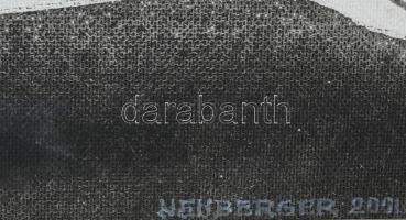 Neuberger István (1953-): Kerekesek, 2001. Akril, farost. Jelzett. Fakeretben. 55x80 cm