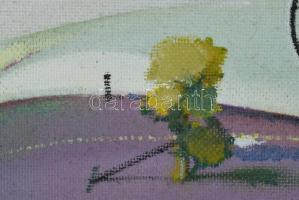 Neuberger István (1953-): Alpári biciklis. Akril, farost. Jelzett. Fakeretben. 56x69 cm