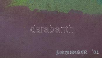 Neuberger István (1953-): Alpári biciklis. Akril, farost. Jelzett. Fakeretben. 56x69 cm