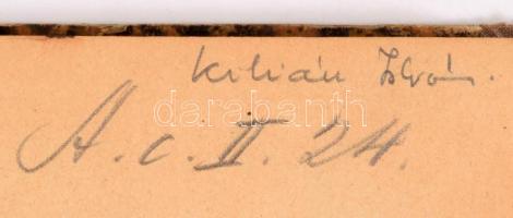 C. Sallusti Crispi De Coniuratione Catilinae et De Bello Jugurthino Libri. Magyarázta Holub Mátyás. ...