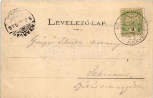 1902 Bálványosfürdő, Bálványosfüred, Baile Bálványos (Torja, Turia); Bálványos vár. Fénynyomat Dival...