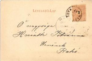 1900 Nagybánya, Baia Mare; Erdélyi út felől, látkép. Molnár Mihály kiadása / street view (fl)