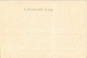 Nagyszalonta, Salonta; Csonka torony, Takarékpénztár. Csathó Gábor és Társa kiadása, szecessziós-vir...