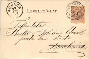 1899 Temesvár, Timisoara; Bega rakpart, hajó kipakolás, híd, lovaskocsi. Edgar Schmidt (Dresden-Buda...