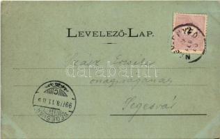 1899 Nagyenyed, Aiud; látkép, sétatéri síremlék, este holdfényben / general view, monument at night ...