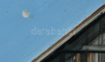 Neuberger István (1953-): Mementoni. Olaj, farost. Jelzett. Fakeretben. 50x70 cm