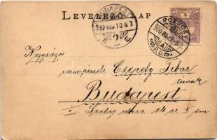 1900 Pozsony, Pressburg, Bratislava; látkép, vár, uszályok, közúti híd. Römmler &amp; Jonas / ge...