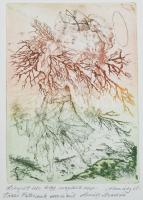 Almásy Aladár (1946-): Lehajolt érte, hogy magához vegye. Színes rézkarc, papír, jelzett. Almásy Aladár autográf ajánlásával. 20,5x15 cm