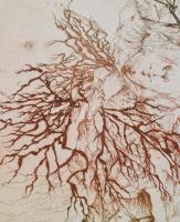 Almásy Aladár (1946-): Lehajolt érte, hogy magához vegye. Színes rézkarc, papír, jelzett. Almásy Ala...