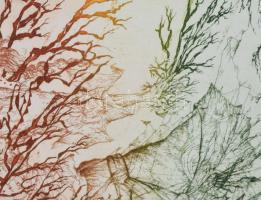 Almásy Aladár (1946-): Lehajolt érte, hogy magához vegye. Színes rézkarc, papír, jelzett. Almásy Ala...