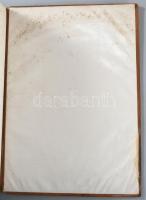 Zágoni Mikes Kelemen Törökországi Levelei. A Magy. Kir. Kormány támogatásával, II. Rákóczi Ferencz h...