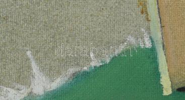 Neuberger István (1953-): Sárga csikó. Olaj, farost. Jelzett. Fakeretben. 45x58 cm