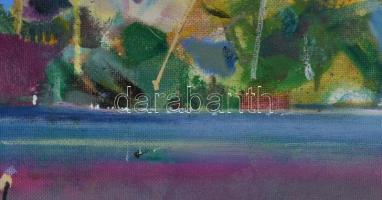 Neuberger István (1953-): Vízparti élet. Olaj, farost. Jelzett. Fakeretben. 48x58 cm