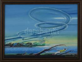 Neuberger István (1953-): Szélvész Mártélyon, 2022. Olaj, farost. Jelzett. Fakeretben. 30x40 cm