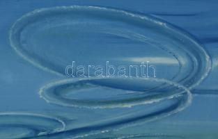 Neuberger István (1953-): Szélvész Mártélyon, 2022. Olaj, farost. Jelzett. Fakeretben. 30x40 cm