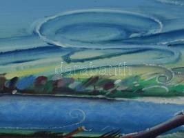 Neuberger István (1953-): Szélvész Mártélyon, 2022. Olaj, farost. Jelzett. Fakeretben. 30x40 cm