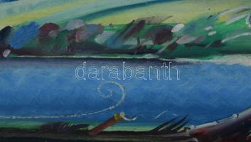 Neuberger István (1953-): Szélvész Mártélyon, 2022. Olaj, farost. Jelzett. Fakeretben. 30x40 cm