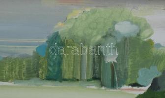 Neuberger István (1953-): Fiatalok a parton, 2019. Olaj, farost. Jelzett. Fakeretben. 30x42,5 cm