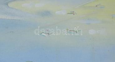 Neuberger István (1953-): Mártélyi vízparton, 1993. Olaj, farost. Jelzett. Fakeretben. 61x100 cm. KI...