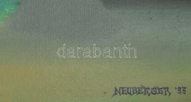 Neuberger István (1953-): Mártélyi vízparton, 1993. Olaj, farost. Jelzett. Fakeretben. 61x100 cm. KI...