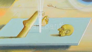 Neuberger István (1953-): Nofene, 1991-2026. Olaj, vászon. Jelzett. Fakeretben. 60x80 cm