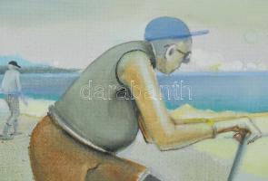 Neuberger István (1953-): Vízparti jelenet (Balaton). Olaj, farost. Jelzett. Fakeretben. 52x59 cm