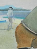 Neuberger István (1953-): Vízparti jelenet (Balaton). Olaj, farost. Jelzett. Fakeretben. 52x59 cm