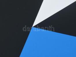 Georg Karl Pfahler (1926-2002): Kék-fekete kompozíció (cím nélkül). Szitanyomat, papír, jelzett, szá...