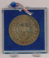 DN "Pénzjegynyomda Budapest / Pénzügyi Szervezetek Bajnoksága" bronz sport emlékérem, sérü...