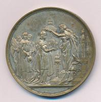 1879. "Székesfehérvári Országos Kiállítás" kétoldalas bronz emlékérem (50mm) T:AU,XF patin...