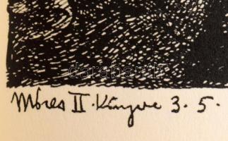 Haranghy Jenő (1894-1951): Biblia illusztrációk. Basel., 2008. Dachs. Bőrbe kötött díszkiadás 100 ós...