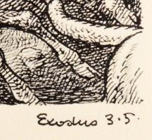 Haranghy Jenő (1894-1951): Biblia illusztrációk. Basel., 2008. Dachs. Bőrbe kötött díszkiadás 100 ós...