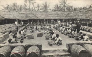 Plumbago preparation in Ceylon