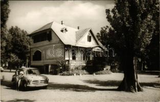 Balatonboglár, SZÖVOSZ üdülő, automobil. Képzőművészeti Alap (fa)