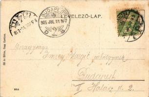 1905 Nagykanizsa, Fő út, Ifj. Wajdits József üzlete. Alt és Böhm kiadása (fl)