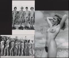cca 1958 "Naturista szépségek galériája", szolidan erotikus felvételek, 3 db modern nagyítás, jelzés nélkül, 21x15 cm és 10x15 cm
