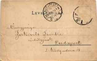 1900 Nagykanizsa, Deák tér. Fischel kiadása (vágott / cut)