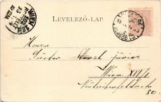 1899 Miskolc, Széchenyi utca, Seper szálloda, üzletek. Ferenczi B. kiadása (fl)