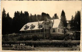 Kolibica, Colibita; Pavilonul Olivia / Olivia pavilon, nyaraló / pavilion, villa. photo