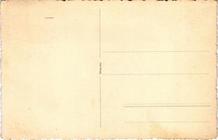 Kolibica, Colibita; Pavilonul Olivia / Olivia pavilon, nyaraló / pavilion, villa. photo