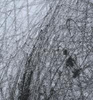 Visnyei Ilona (1959-): Cím nélkül. Litográfia, papír, jelzés nélkül, 50x70 cm