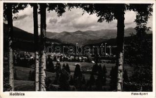 Kolibica, Colibita; látkép / view. Sport photo